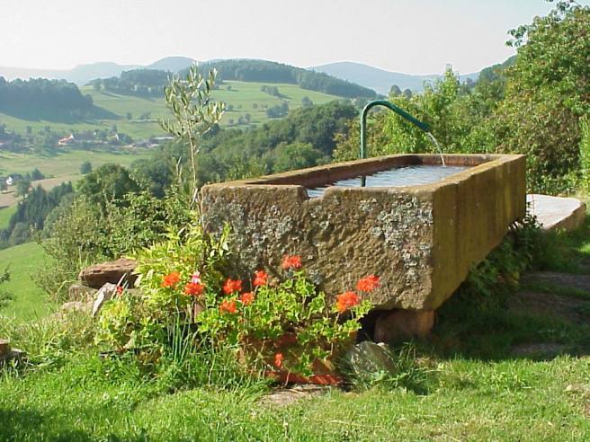 Trough in front of the house